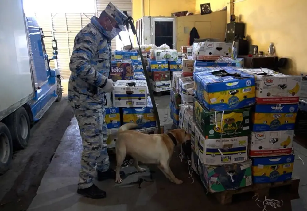 Qarpızın içindən 28 kiloqram gizli yük çıxdı - Gömrükdə əməliyyat 