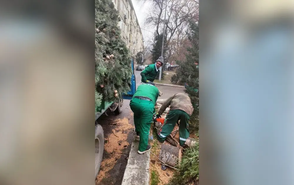 Güclü külək Bakıda 9 ağacı sındırdı - Foto