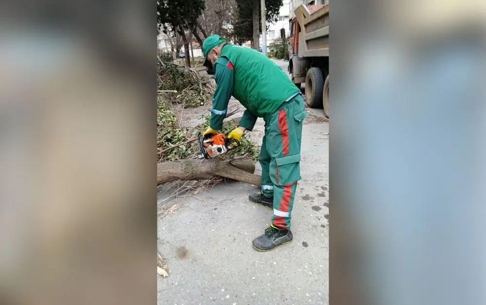 Güclü külək Bakıda 9 ağacı sındırdı - Foto