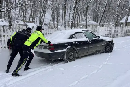 BDYPİ-dən sürücülərə müraciət