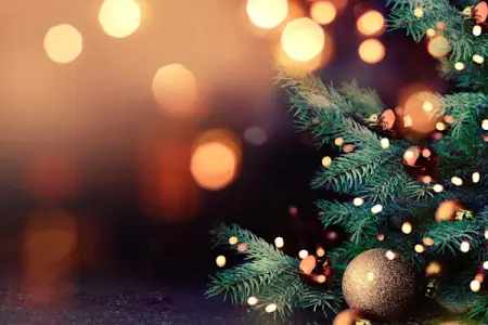 Niderlanddan sərt qərar: artıq Yeni il belə qeyd olunacaq