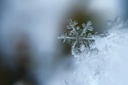 Bu rayonlarda 20 dərəcəyədək şaxta qeydə alınıb - Faktiki hava