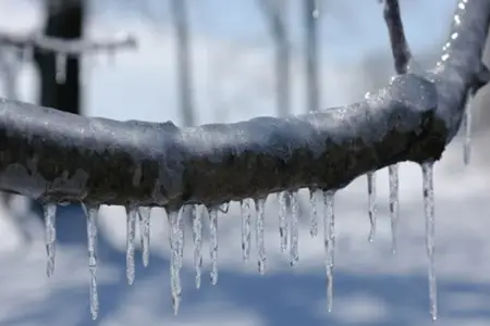 Sabah 10 dərəcə şaxta olacaq, yollar buz bağlayacaq