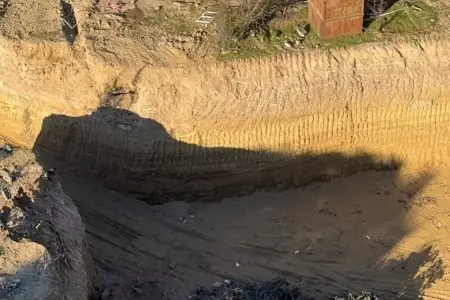 “Avant Group”un tikintisində ağac kəsildi, akt tərtib edildi - Video 