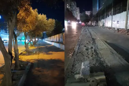 Xırdalanda tikintiyə görə ağaclar kəsildi: İdarə əməkdaşları hərəkətə keçdi - Foto