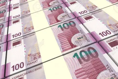 Azərbaycanın ümumi dövlət borcu açıqlandı