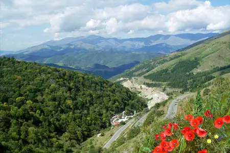 Qarabağda tətbiq edilən model ölkə miqyasında nümunə ola bilər