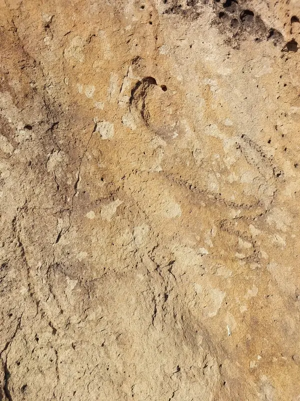 Qobustanda yeni qayaüstü təsvir tapıldı