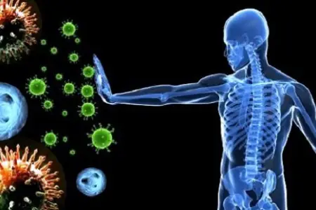 İmmunitetiniz zəifləyib? Bunlara diqqət edin!