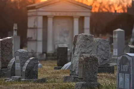 ABŞ-də dəhşət: Evdən yüzlərlə insan sümüyü çıxdı