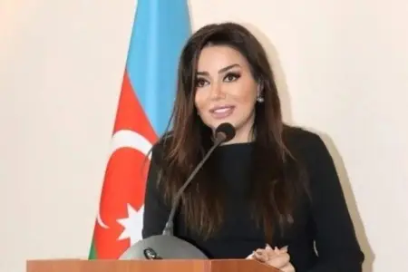 Nəsimi rayonuna rəhbərlik bu xanıma tapşırıldı