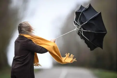 Küləkli hava şəraiti ilə bağlı sarı xəbərdarlıq