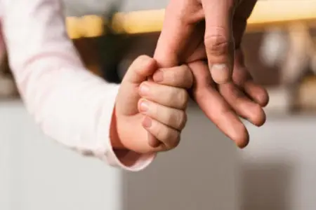 Övladlığa uşaq götürən subay şəxslərin sayı açıqlandı