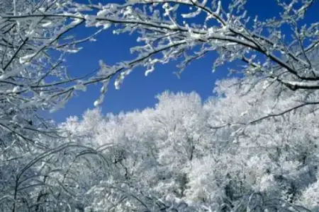 Hava kəskin dəyişir: Temperatur 10 dərəcə enəcək - Xəbərdarlıq  