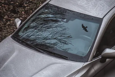 Lənkəranda kişi idarə etdiyi avtobusda ölü tapılıb