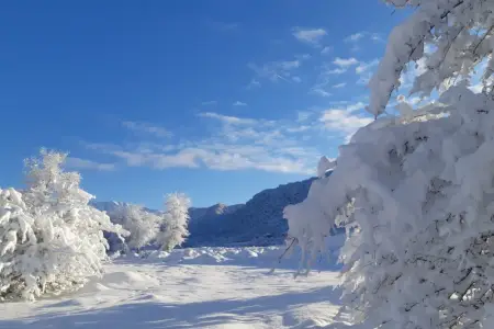 Zaqatalada qarın hündürlüyü 30 sm-dir - Faktiki hava
