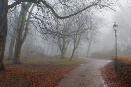 Qatı duman qəzaya səbəb oldu: 10 nəfər öldü - Bu ölkədə
