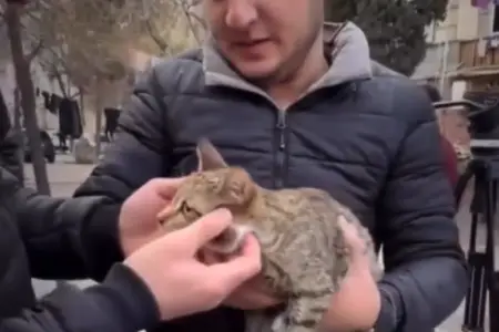 Binəqədidəki yanğından pişik belə xilas edildi – Video