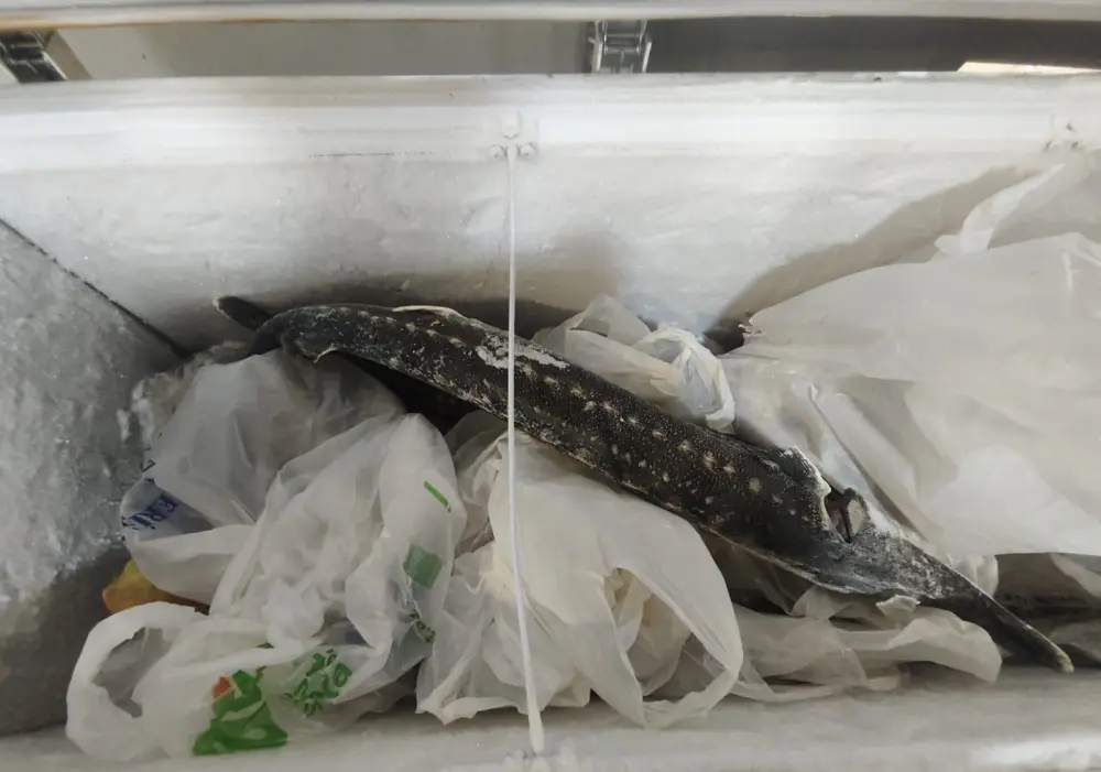 Bu restoranda nöqsanlar aşkarlandı, fəaliyyəti dayandırıldı 