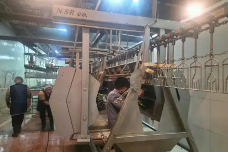 Novxanıdakı kəsim məntəqəsində nöqsanlar aşkarlandı - Foto