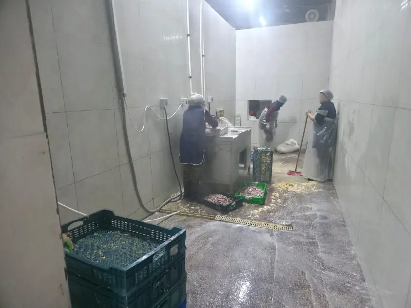 Novxanıdakı kəsim məntəqəsində nöqsanlar aşkarlandı - Foto