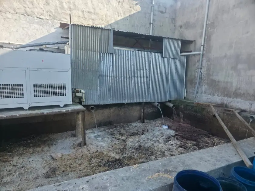 Novxanıdakı kəsim məntəqəsində nöqsanlar aşkarlandı - Foto