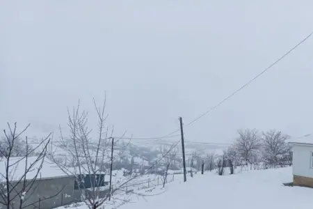 Cəlilabadda qar yağışı nəqliyyatın hərəkətində problemlər yaratdı