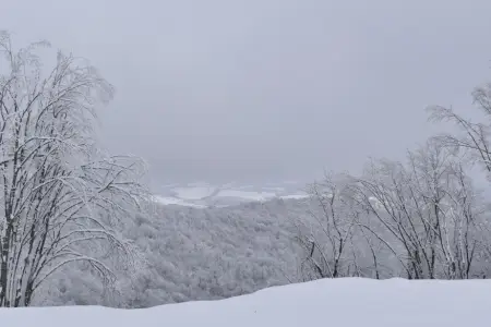 Qarın hündürlüyü 85 santimetrə çatıb - Faktiki hava