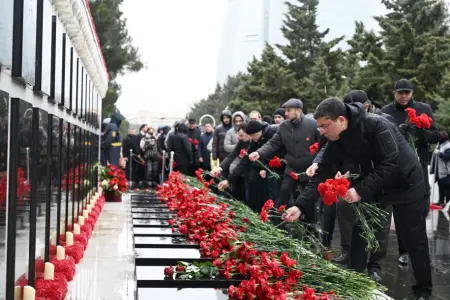 Medianın İnkişafı Agentliyinin nümayəndələri Şəhidlər xiyabanını ziyarət etdilər 