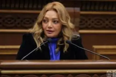 Ermənistanda qalmaqal: Komissiya sədri istefa verdi
