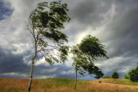 Küləkli hava şəraiti ilə bağlı sarı xəbərdarlıq verildi