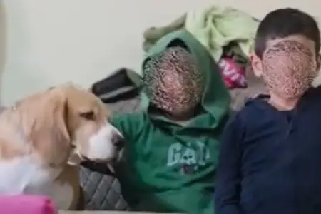 Bakıda qadın uşaqlarını gözəllik salonunda qoyub qaçdı - Video