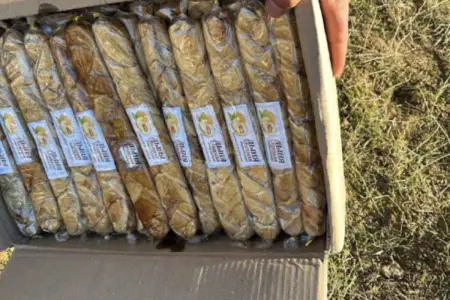 Qurudulmuş yemiş və halvalarda uyğunsuzluq aşkarlandı - Foto