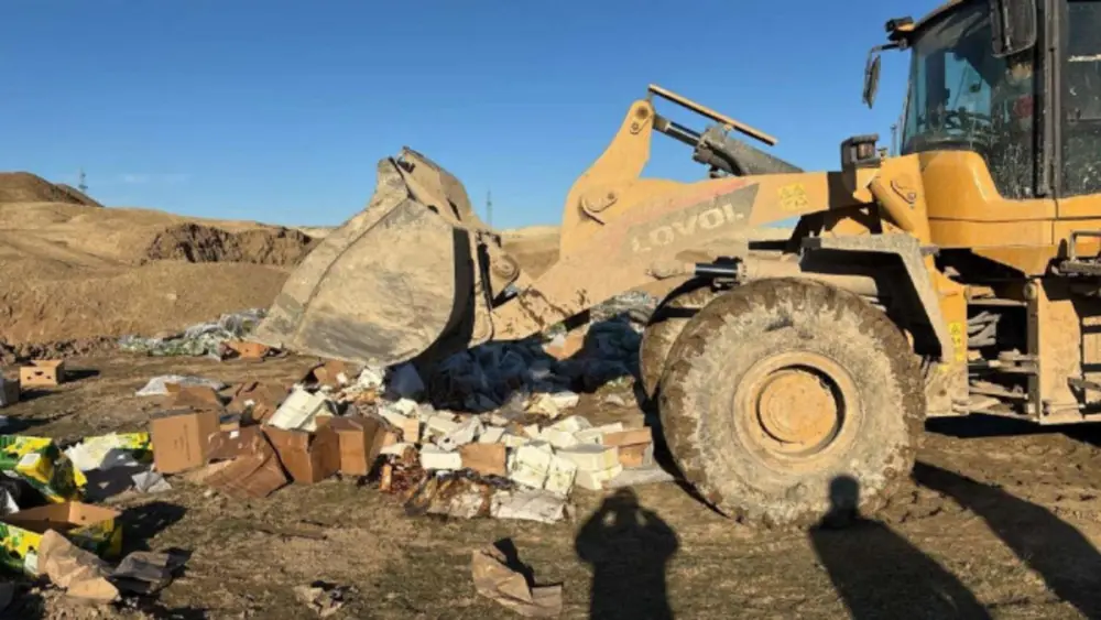 Qurudulmuş yemiş və halvalarda uyğunsuzluq aşkarlandı - Foto