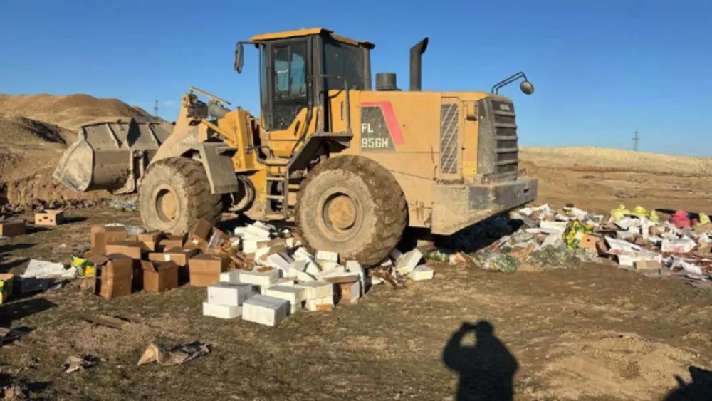 Qurudulmuş yemiş və halvalarda uyğunsuzluq aşkarlandı - Foto