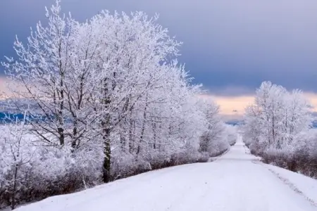 Qış hələ bitməyib: Sərt şaxta və qar gözlənilir 