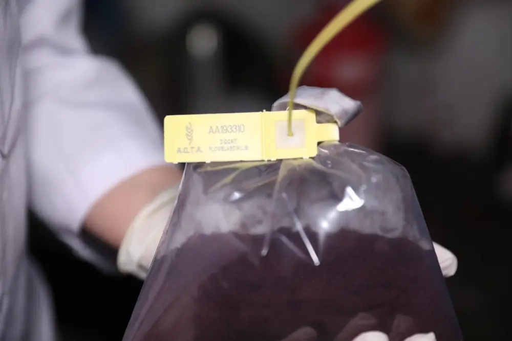 Kələm turşusu ilə bağlı şübhə: AQTA yoxlamaya başladı - Video