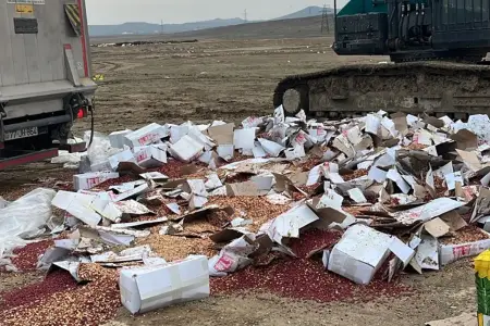 3 ton yerfındığı satışa çıxarılmadan məhv edildi - FOTO