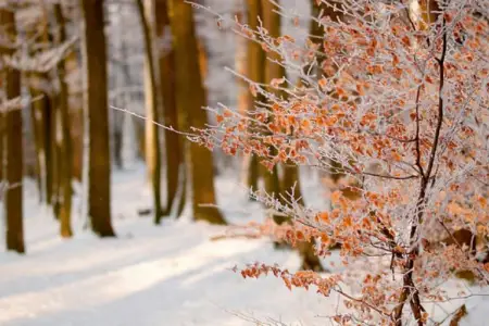Fevralda hava necə olacaq?