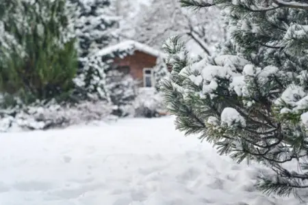 Rayonlara qar yağacaq