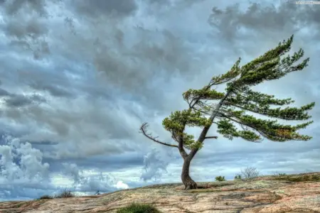 Bu rayonlarda güclü külək əsir – Faktiki hava