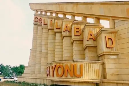 Cəlilabadda əmisinin baltaladığı uşaqlardan biri öldü - YENİLƏNDİ