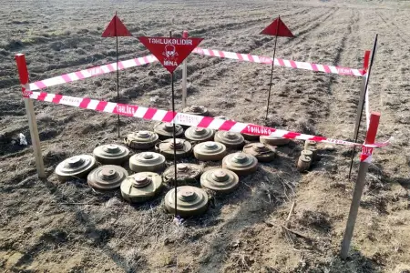 1738 hektar ərazi minalardan təmizləndi