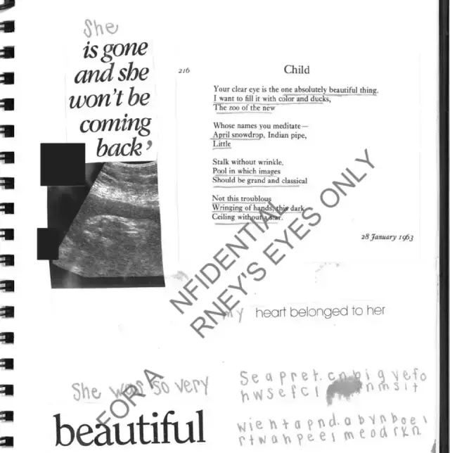 “Epşteyn işi”ndə yeni iddialar: Gizli uşaqla bağlı sensasion detal