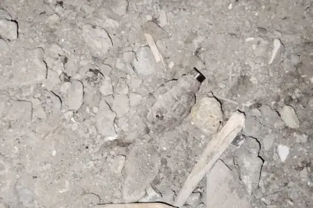 Bakıda qumbara tapıldı - VİDEO