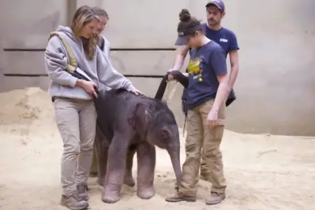 Vaşinqtonda 25 il sonra bir ilk yaşandı