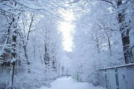 Zaqatalaya 36 sm qar yağdı - FAKTİKİ HAVA