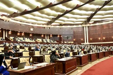 Bu millət vəkilləri 5 dil bilir