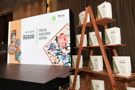 bp və TLM yeni layihə təqdim etdi: “Parlaq rənglərin işığında” - FOTOLAR