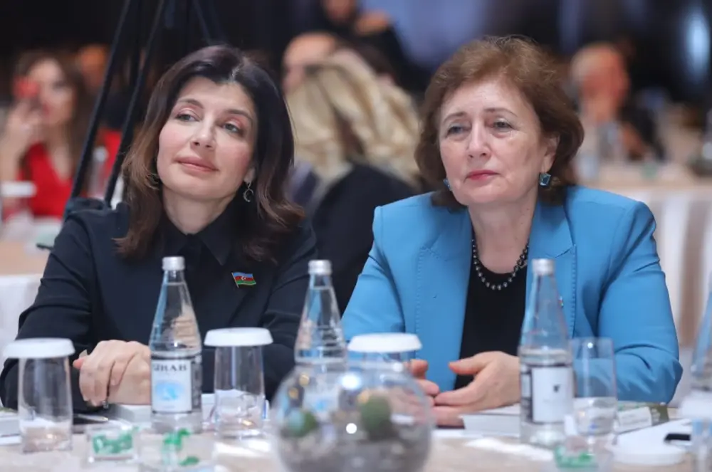 bp və TLM yeni layihə təqdim etdi: “Parlaq rənglərin işığında” - FOTOLAR